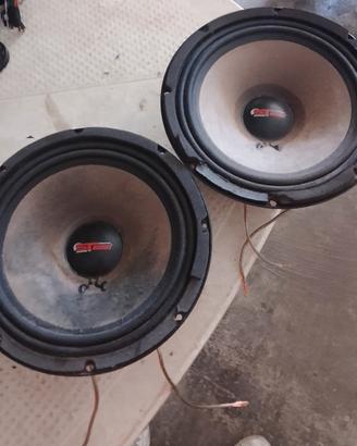Coppia di Woofer ad alta efficienza 