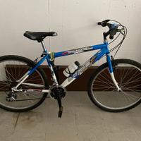 Bicicletta Diablo ext3000