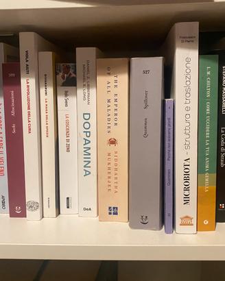 Libri