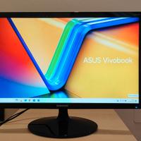 Monitor Samsung LED 24 pollici (S24D300)