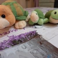 Peluche trudy