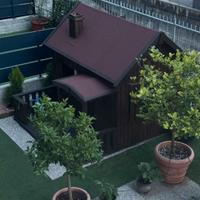 Casetta in legno