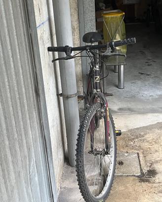 city bike donna