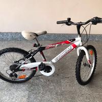 Mtb Carnielli 20 St