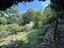 Immagine 25