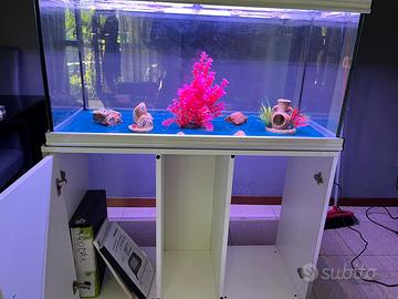 Acquario con accessori