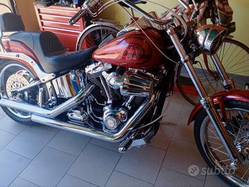 HARLEY DAVIDSON SOFTAIL CUSTOM