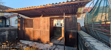 Paddok capannine cavalli