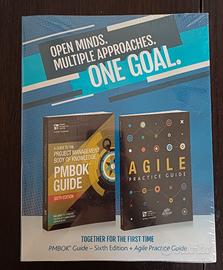 PMBOK Guide - Sixth Edition