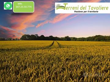 Terreno Seminativo a San Severo