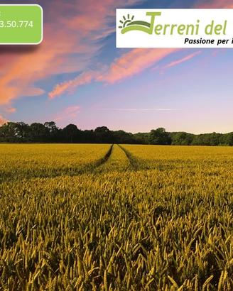 Terreno Seminativo a San Severo
