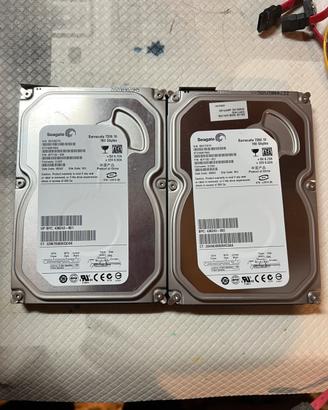 2 Hard Disk Sata 160Gb per PC fisso