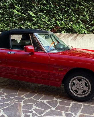 Duetto alfa romeo