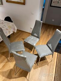 Sedie Calligaris Pelle