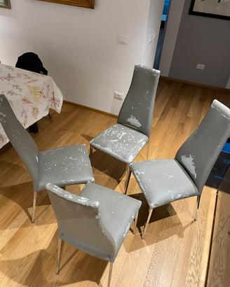 Sedie Calligaris Pelle