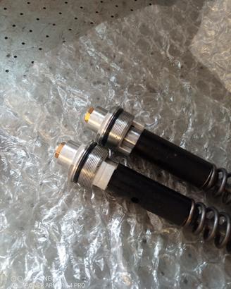 cartucce forcelle Yamaha r6