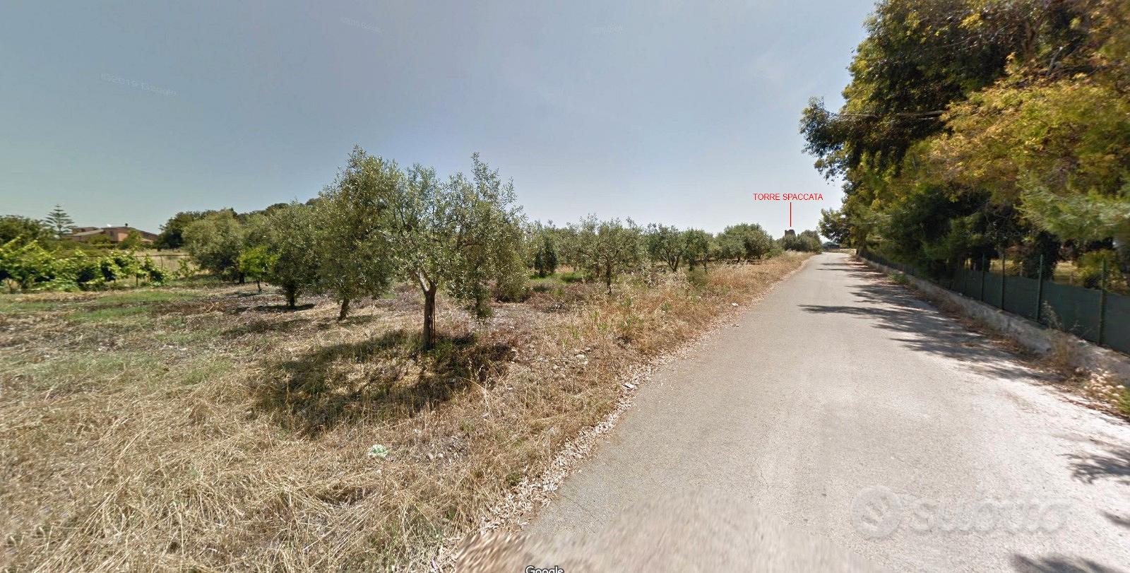 Terreno costa mare Ionio Calabria Amendolara - Vista 3
