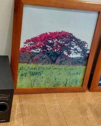 Wharfedale PPS-1