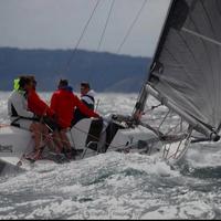 Barca vela blu sail 24 pronto regata