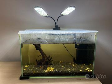 Acquario 20 lt