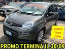 fiat-panda-panda-1-0-firefly-hybrid-disponibili-va