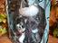 Immagine 2