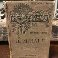 Libro antico Maiale 1900