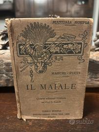 Libro antico Maiale 1900