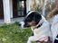 Immagine 3