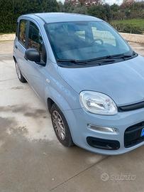 FIAT PANDA 1.2 70 cv benzina