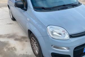 FIAT PANDA 1.2 70 cv benzina