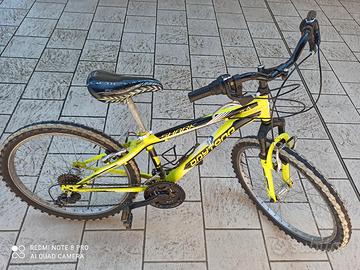 Bicicletta Bambino/a ruota 24Daytona Shark