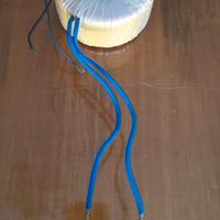 Trasformatore toroidale
