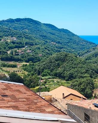 Settimana vista mare Calabria - 420