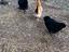 Immagine 4