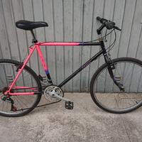 Bici Mountain Bike BIANCHI RAGNO