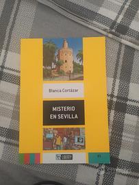 libro in spagnolo con esercizi 