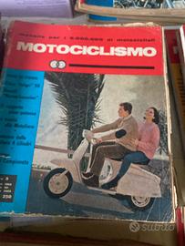 Trasportino per piccoli animali