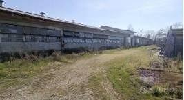 Immobile in asta di 4823 m² con 4 locali a Porpett
