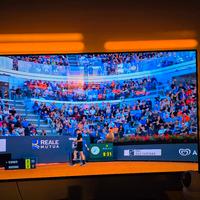 ,straordinaria tv lg oled 48 