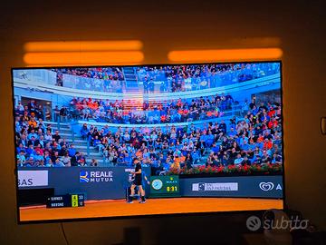 ,straordinaria tv lg oled 48 