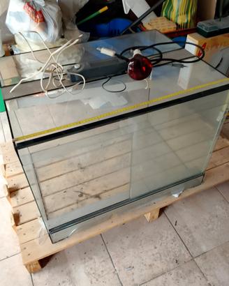 terrario in vetro per rettili