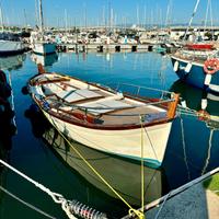 Gozzo Palermo Sett 1984