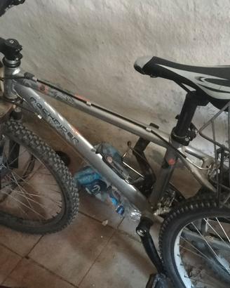 lotto di 3 bici 