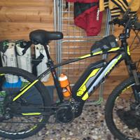 Bici elettrica 