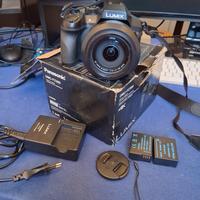 Panasonic Lumix DMC-FZ300 