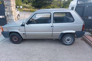 Panda 1998