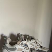 🌟 Louis Vuitton Skate