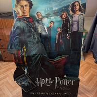 Cartonato harry potter da collezione