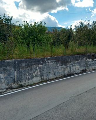 2 unità immobliari